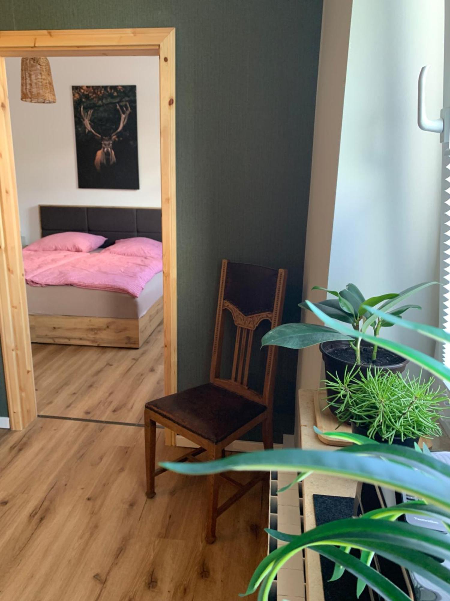 شقة Katharina Boardinghouse أوسنابروك المظهر الخارجي الصورة